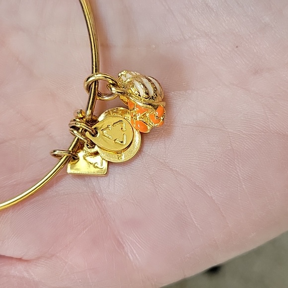 Alex and Ani Sea Themed Charm Bracelets - Lot of 2 - Picture 2 of 5